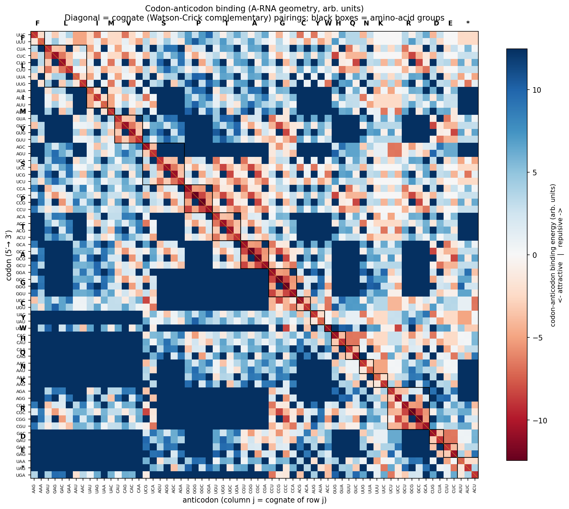 64×64 heatmap of codon-anticodon binding energies in A-RNA geometry. The matrix is reordered so cognate complementary pairings lie on the main diagonal, which appears as a clear red line of attractive binding running through the figure. Black boxes along the diagonal mark amino-acid groups of synonymous codons. Off-diagonal cells are mostly light blue (mildly repulsive) with strongly-blue cross-bands indicating purine-purine clashes between purine-rich codons and purine-rich anticodons.